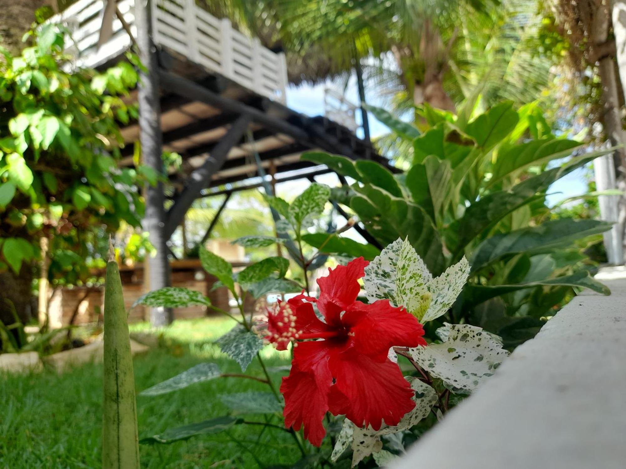 Vila Branca Canoa Canoa Quebrada Exterior foto